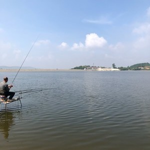 （原创）珠海八一水库山庄钓鱼推荐之地