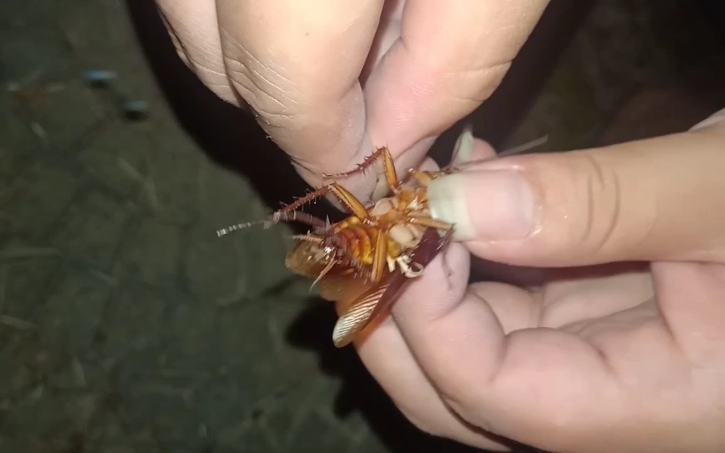 筏钓翘嘴鱼的最佳水深为4-5米！
