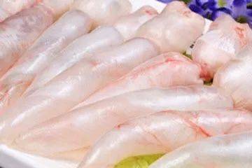鱼一定有鱼鳔吗，以及你可能想了解吗