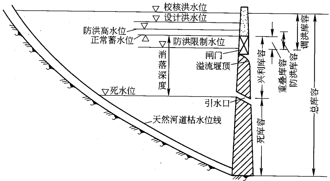 基于图像识别的鱼类自动分类技术领域的鳙鱼分类方法