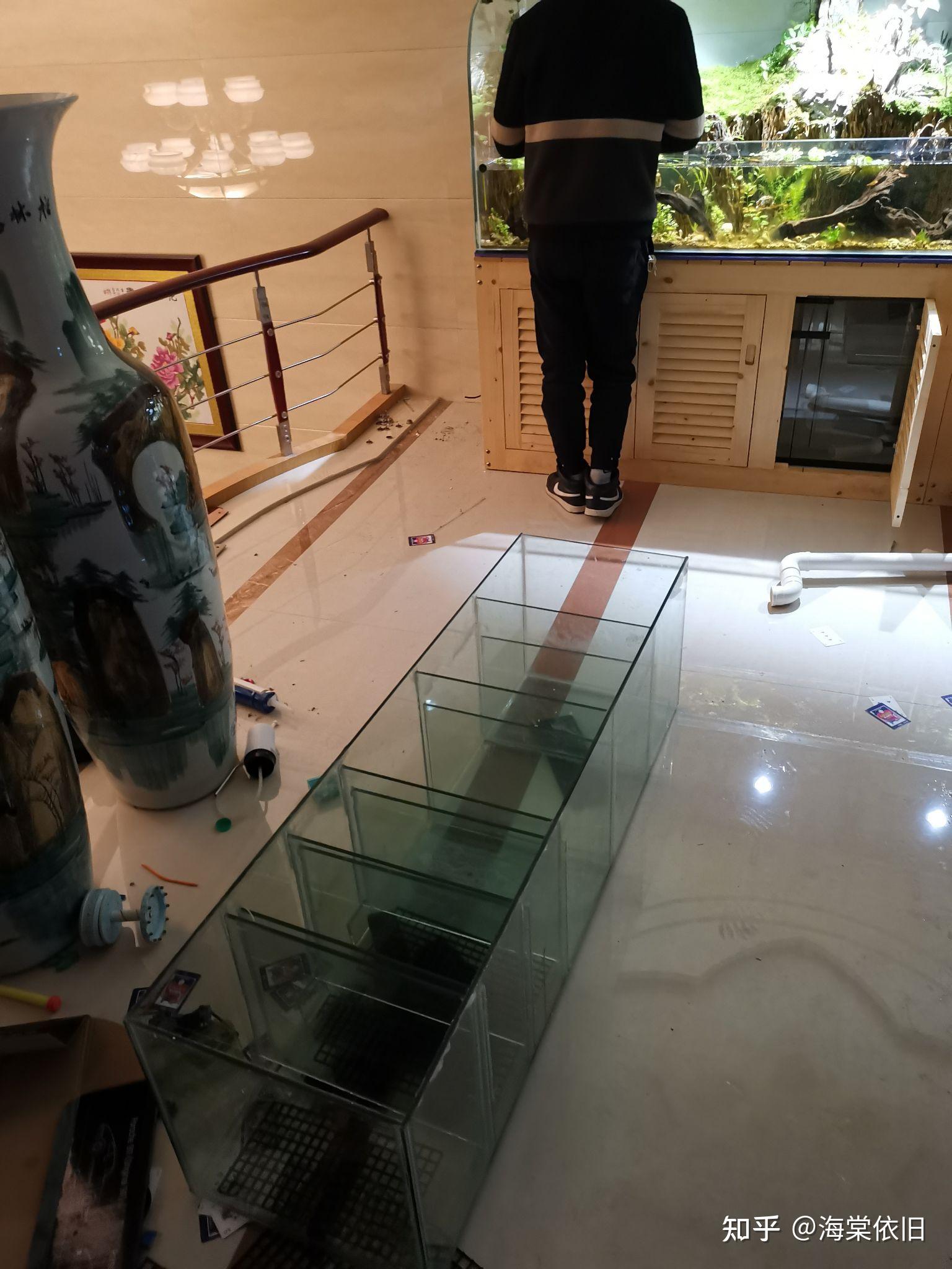 观赏鱼缸 新手怎样才能做好一个鱼缸？熟能生巧嘛
