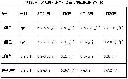 下半年新鱼价稳住不掉价是谢天谢地了