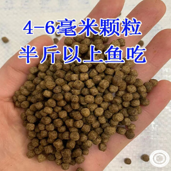 草鱼养殖效益如何？投喂草料过多！！