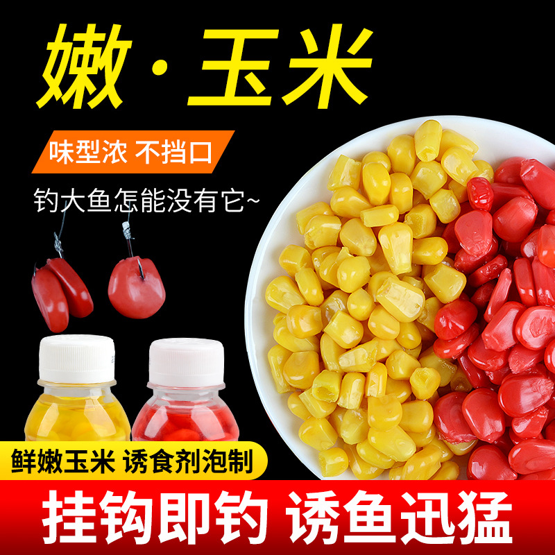 一步步教钓友如何制作适合自己的鱼饵。 鲤鱼吃多少都不会腻。 你会毫不感谢地把菜谱拿走。