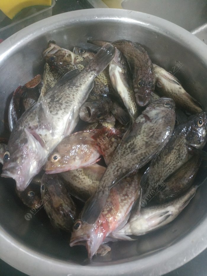 胖头鱼是怎么样的一种食物，一起跟着苹果绿养生