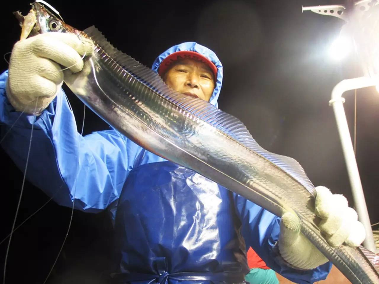 《日本专业矶钓宝典》浮石钓带鱼、海钓的最佳钓法