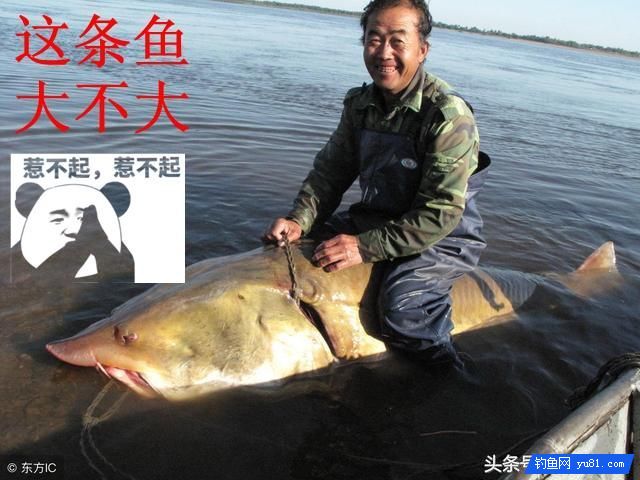 钓小鱼靠逗，钓大鱼靠守，你真的了解这个“守”吗？