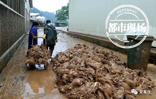 昆明水库泄洪垮塌 （平安二号？百日攻坚）武定警方全力投入紧急救援
