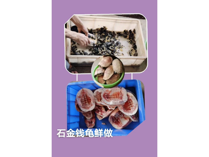 白眼圈、感冒、上下呼吸道感染、肠胃问题都可能导致拒食
