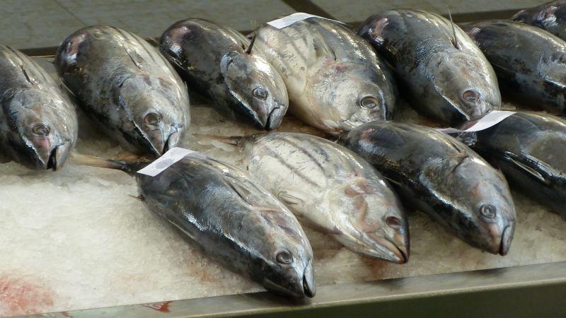 金枪鱼的食用方法和禁忌，你知道吗？