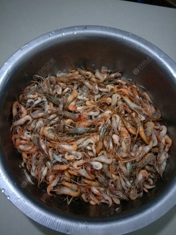 海洋垂钓中常见的几种饵料及其运用技巧，赶紧收藏！
