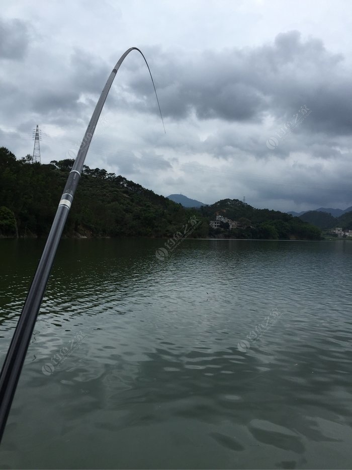 夏季垂钓比赛中的“台钓”，你知道吗？