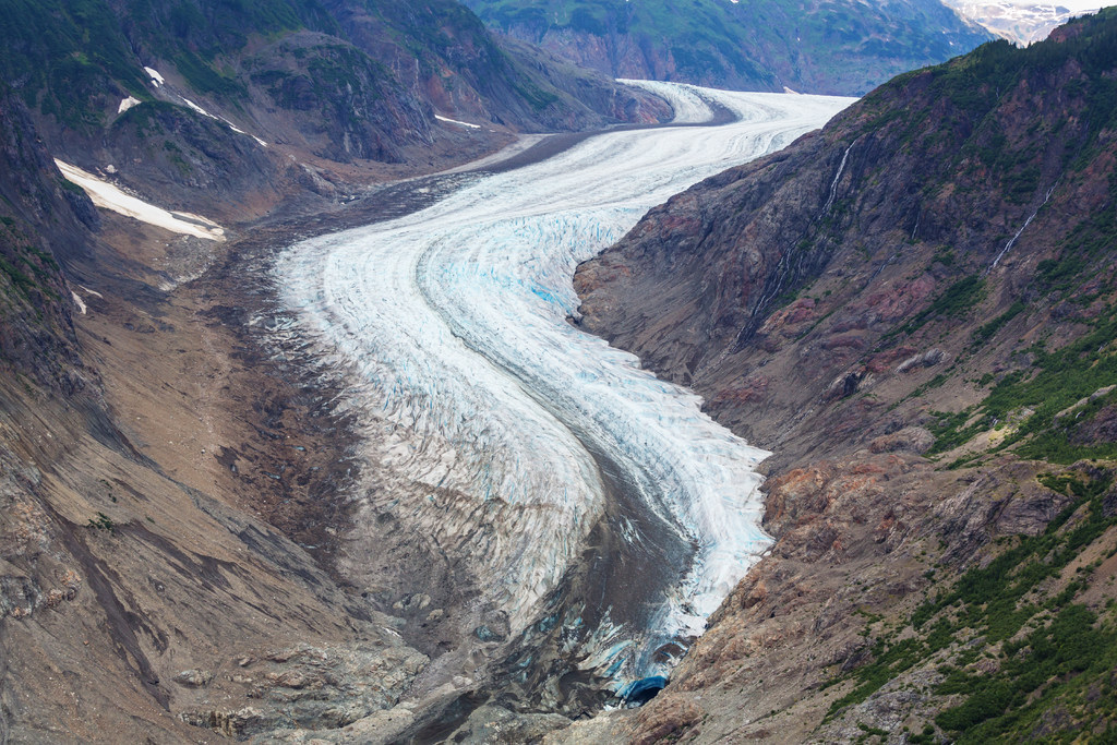 鲑鱼 北美西部太平洋山区冰川退缩到2100年可产生6148公里