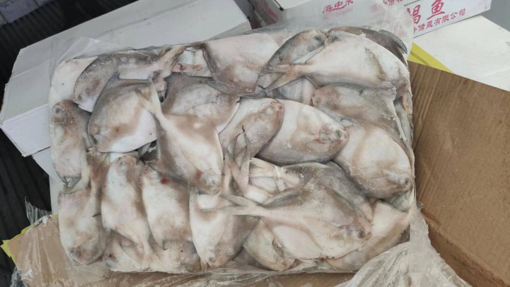 吃鲳鱼的注意事项有哪些？价格多少钱？