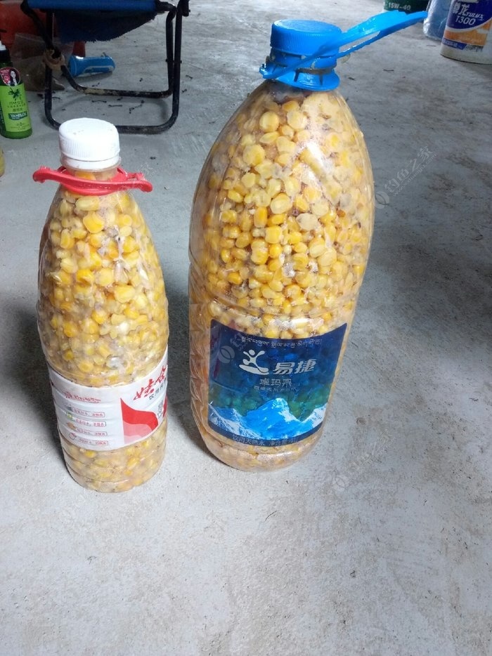 屡试不爽的窝料制作方法，简单有效的钓大鱼