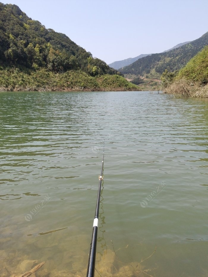 附近哪里有野塘陈村钓鱼互近那有钓鱼场