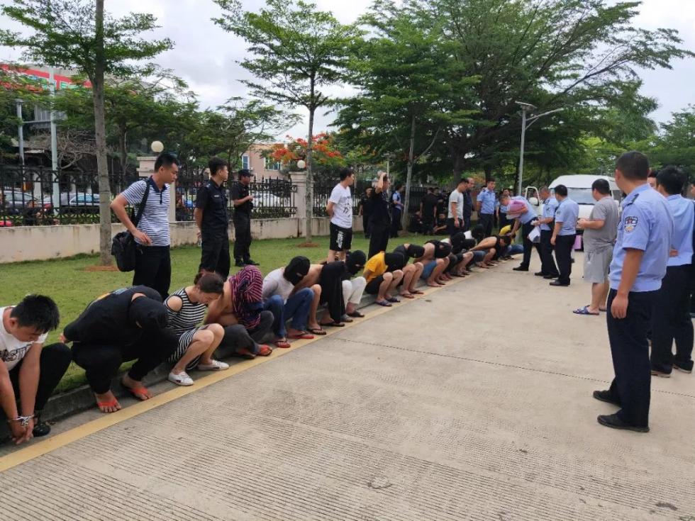 芳村花卉市场 荔湾警方成功打掉以海南村书记何×雄为首的涉黑涉恶涉商业贿赂