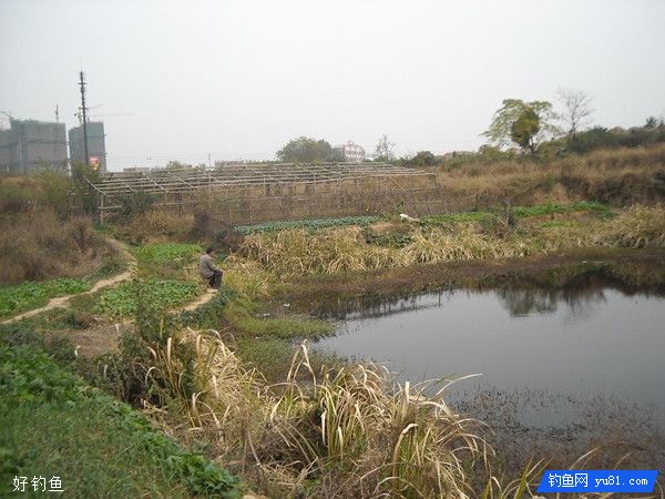 野塘野沟的特点及野钓方法