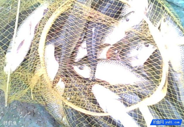 野钓小鱼的线组搭配、浮漂鱼钩的选择
