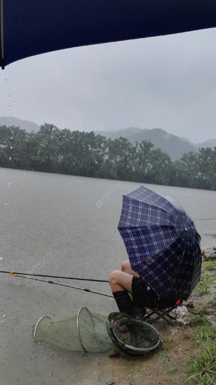 雨天钓鱼有这些讲究，不是什么雨天都可以钓鱼