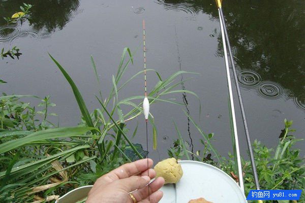 浅谈野钓调漂的体会