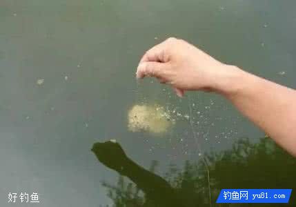 野钓中的7个误区，来看看你犯了多少个？