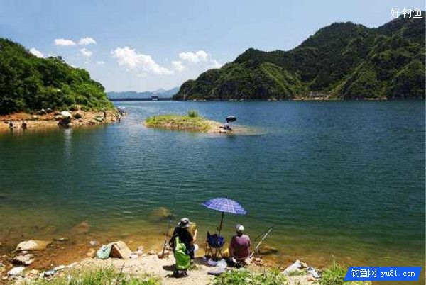 钓友分享水库手竿野钓的三个诀窍