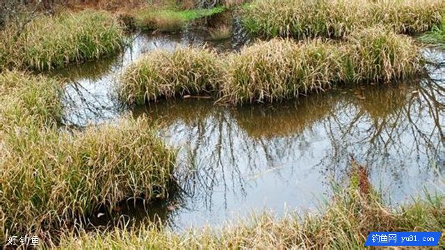 江河湖库野钓的几种实用水情、鱼情判断方法