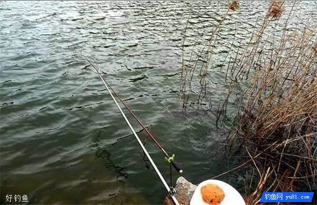 冬钓钓深钓浅的利弊谈
