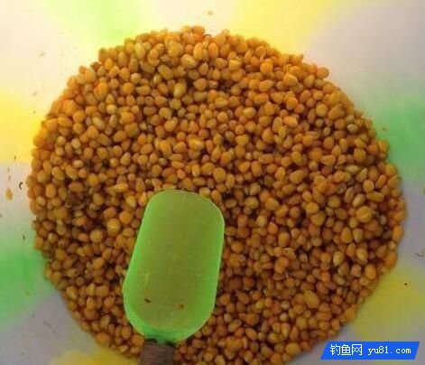诱鱼持久力超强的豆饼窝料配方