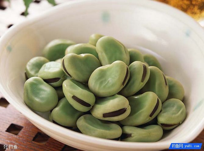 自制蚕豆饵料配方钓鲤鱼