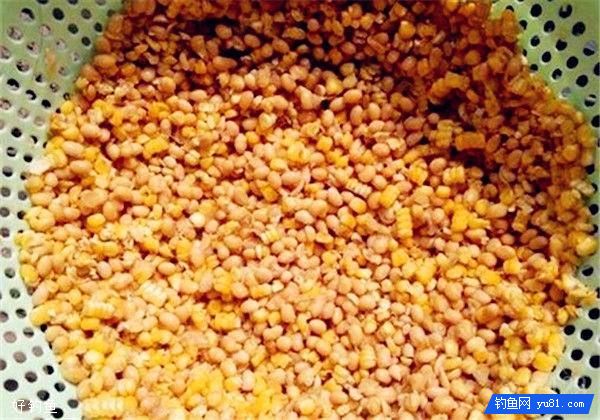 酒米饵料的制作过程和米的选择技巧