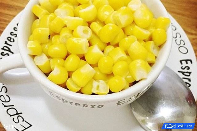 以玉米为原料的三款聚鱼饵料