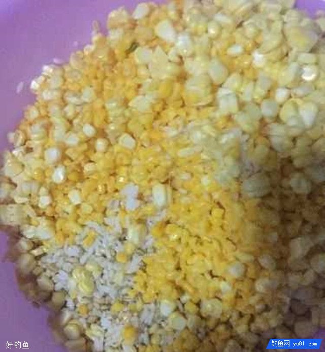 自制钓大鲤鱼大草鱼的发酵醪糟饵料 [图解]