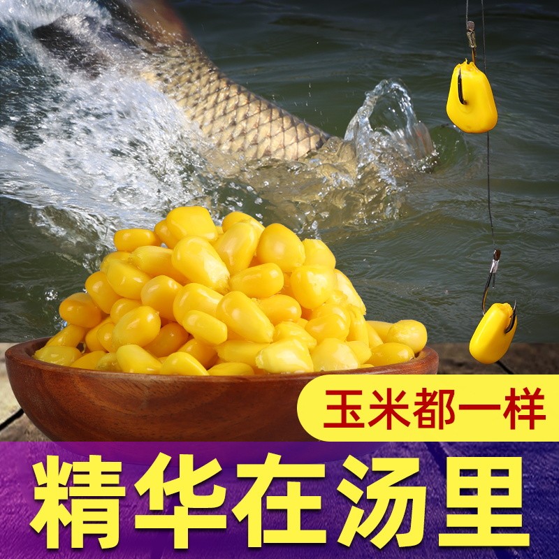 （钓鱼技巧）自制鱼饵之钓鲤鱼饵的这些材料