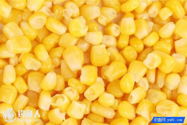 野钓自制酒泡玉米粒鱼饵的做法
