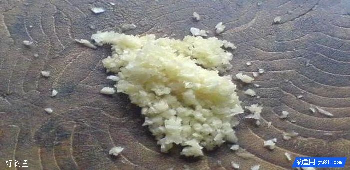 还用蚯蚓钓鱼？ 用大蒜会什么样呢？
