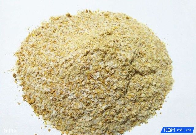 正确使用诱饵打窝诱鱼的技巧