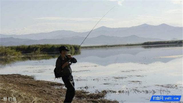 路亚诱鱼六个小窍门，钓鱼新手必知