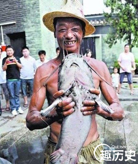 中国渔民捕获一条重500斤长3米巨型鳇鱼