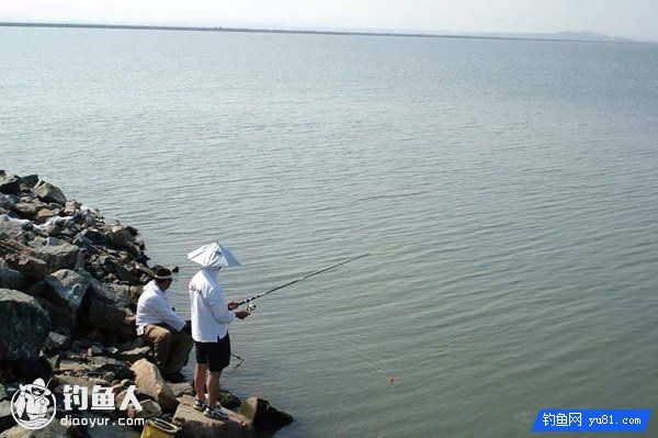 海钓无流时的钓法运用及选位技巧