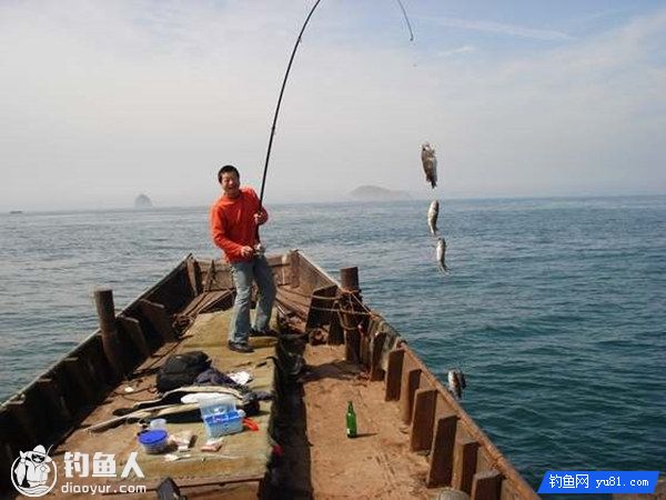浅谈人工礁船钓黑黄鱼的钓具技法选择