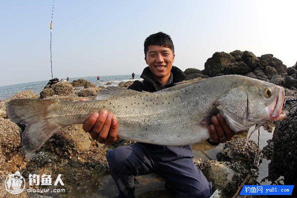 海鲈鱼的垂钓选时选点与用饵技巧