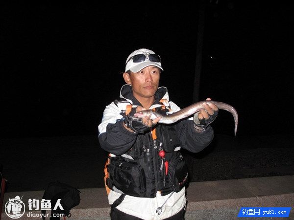 海船垂钓星鳗的攻略（习性、钓点、用饵）