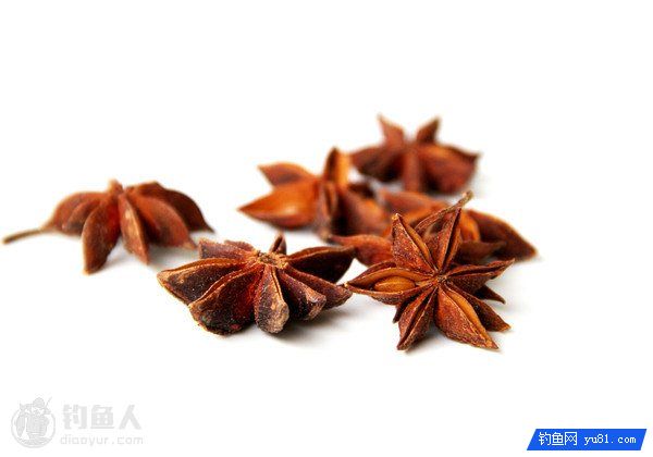 八角香料与鱼饵搭配中的运用