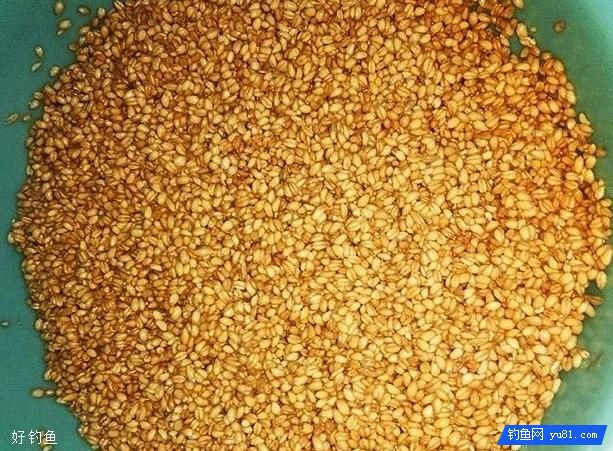 夏季钓鲫鱼的麦麸红糖饵料配方