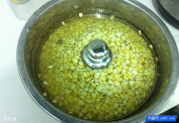自制钓草鱼鲤鱼的菠萝啤酒玉米饵料配方