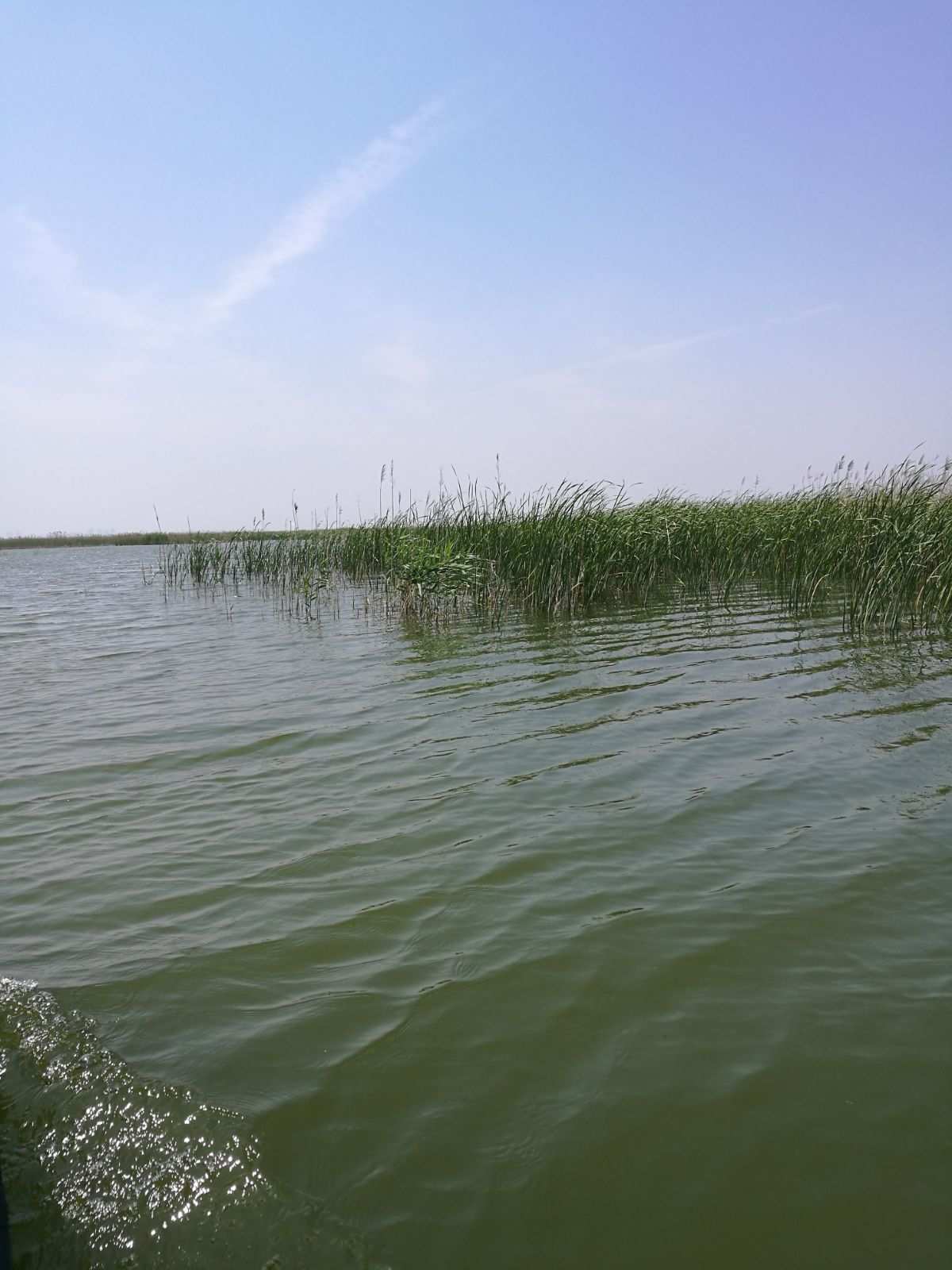 （衡水说）衡水湖三生鸟景区——衡水野生动物园