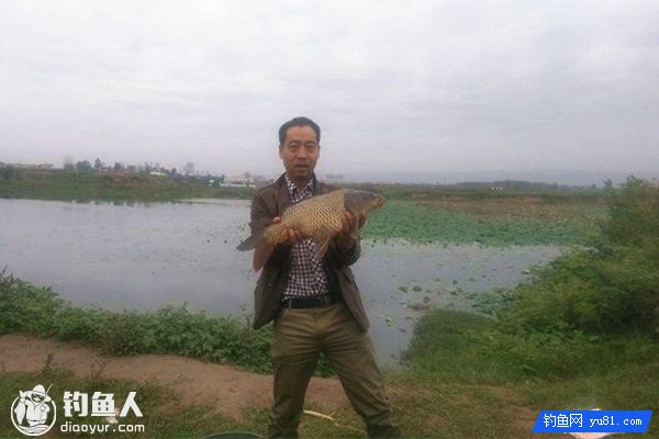 水库海竿钓草鲤鱼的特效饵自制方法