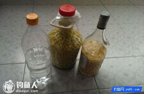 浅析玉米粒用法及自制药酒泡玉米饵的方法